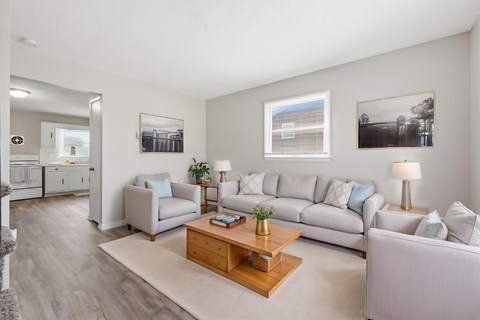 A living room with a grey sofa, a wooden coffee table, and a grey rug.