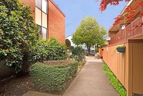 Green Space Walking Trails at Julie Ann, Portland, Oregon