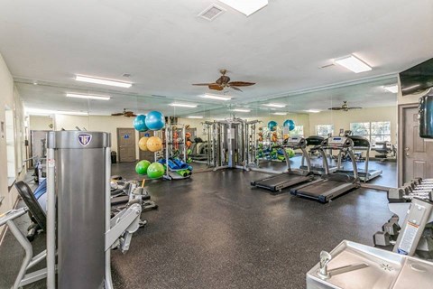 Fitness Area at ReNew Sugar Hill, Sugar Hill, GA