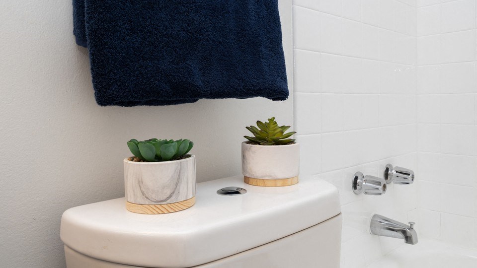 Bathroom Accessories at ReNew Chesterfield, Chesterfield