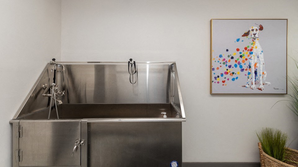 Pet Wash at ReNew Chesterfield, Chesterfield, MO