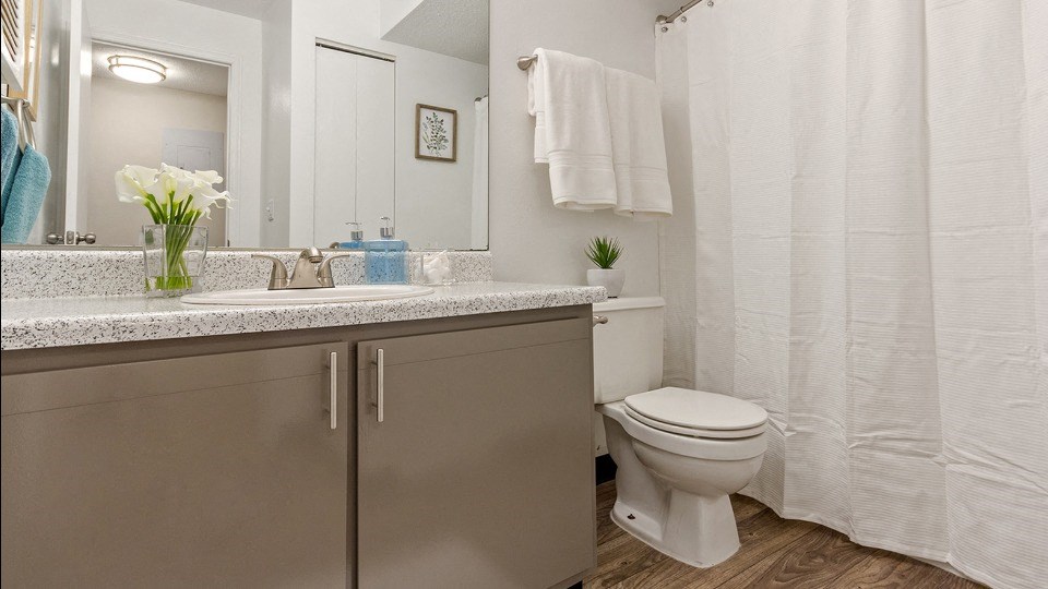 Luxurious Bathroom at ReNew Cross Creek, St. Louis, MO