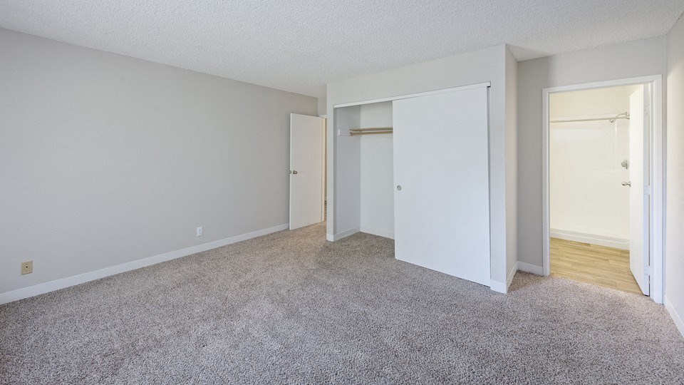 Plush Carpeting at ReNew at Neill Lake, Minnesota, 55344