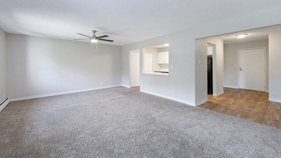 Plush Carpeting at ReNew at Neill Lake, Eden Prairie