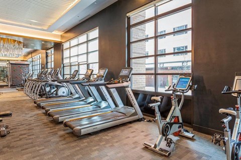 Cardio Equipment at Arrive Federal Hill, Maryland