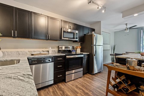 A modern kitchen with black cabinets and stainless steel appliances.