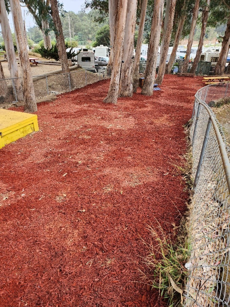 A red mulched area with a fence on the right side at Salinas Sunset Apartments, Salinas, CA, 93907
