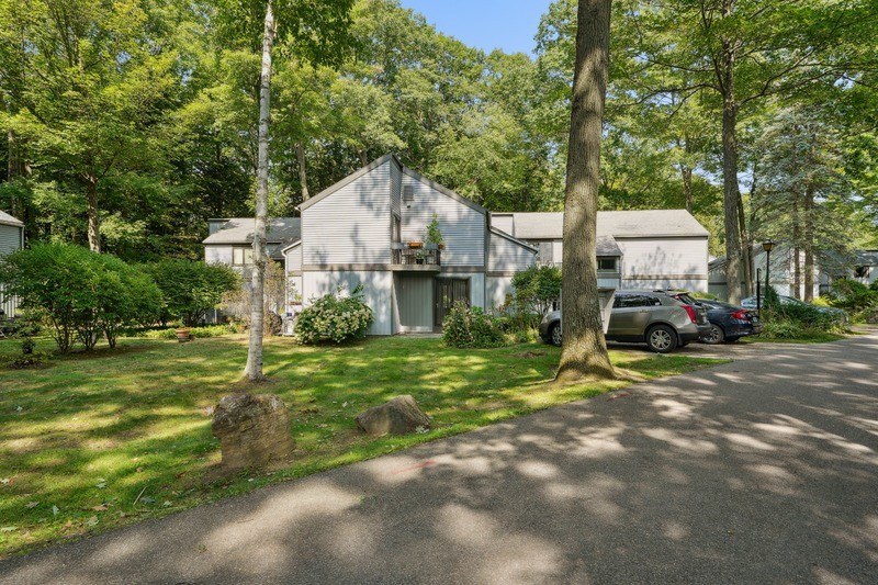 A tree in front of an apartment building.