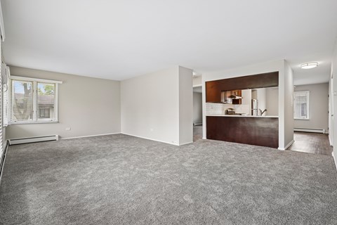 A spacious room with a grey carpet and white walls.