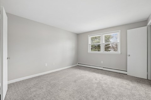 A room with a carpeted floor and a window showing trees outside.
