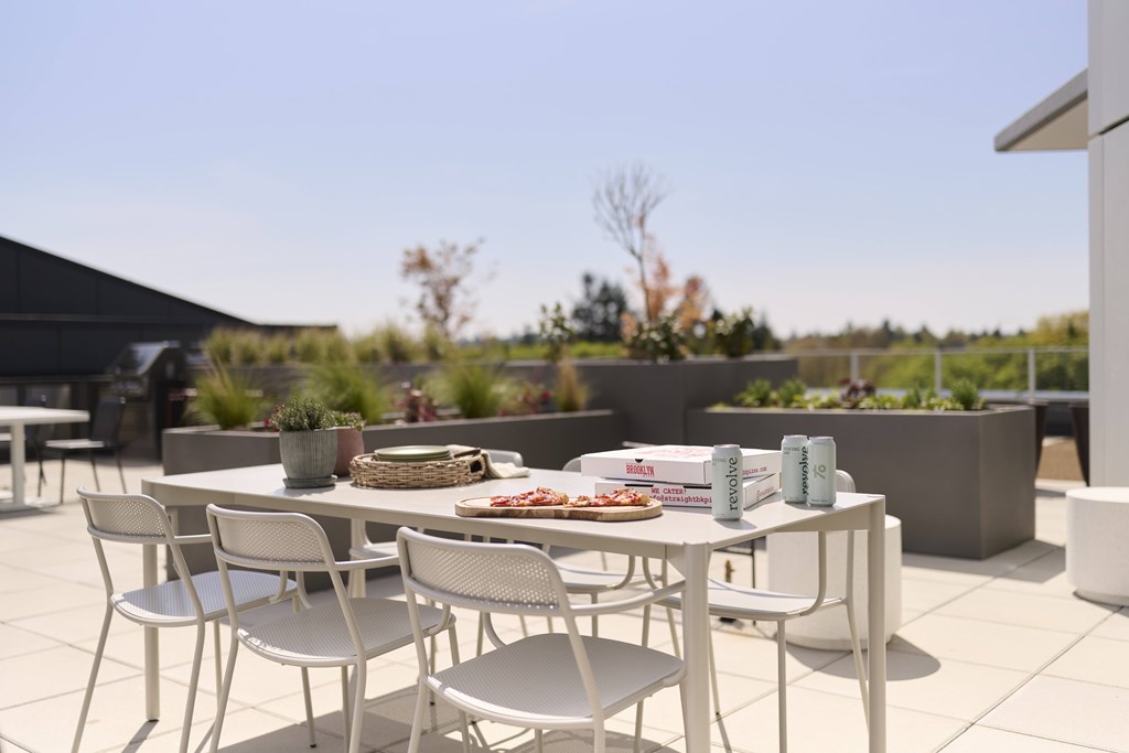 A table with chairs and a potted plant on a patio.