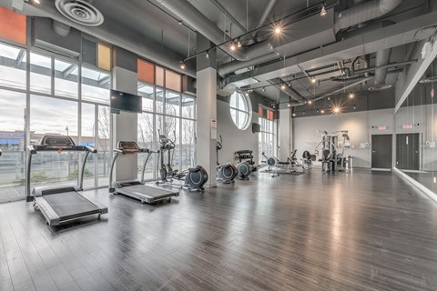 A gym with treadmills, exercise bikes, and weights.