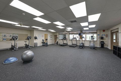A gym with a variety of equipment including a blue exercise ball and a silver medicine ball.