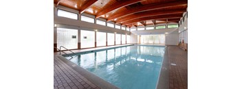 A large indoor swimming pool with a wooden ceiling and tiled floor.