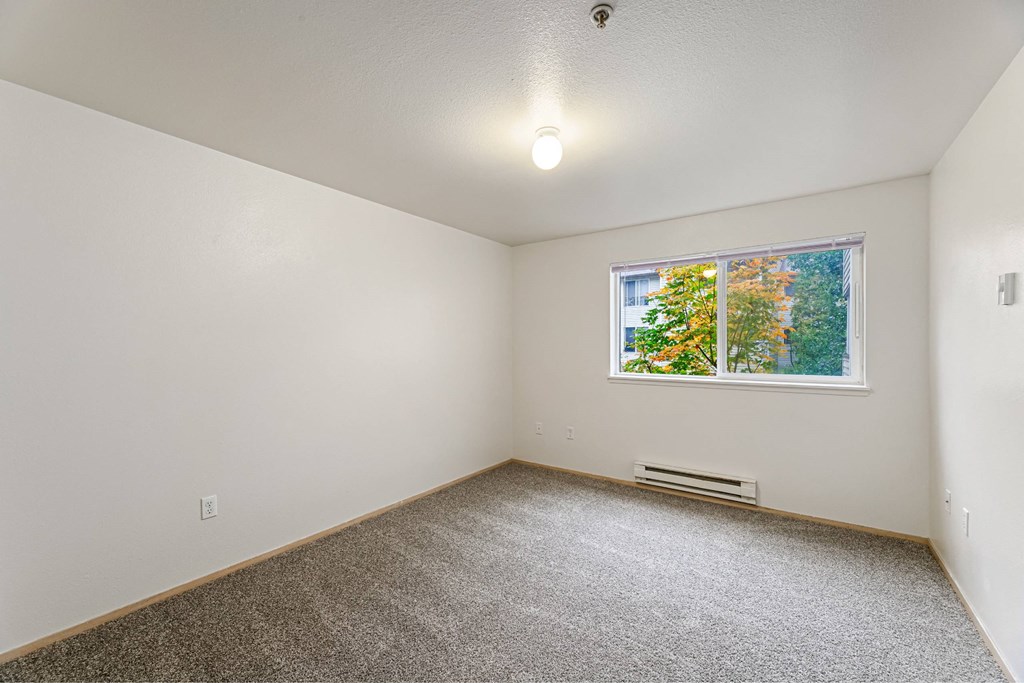 A room with a window showing trees outside.