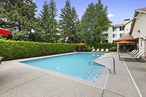 A swimming pool surrounded by trees and a building.