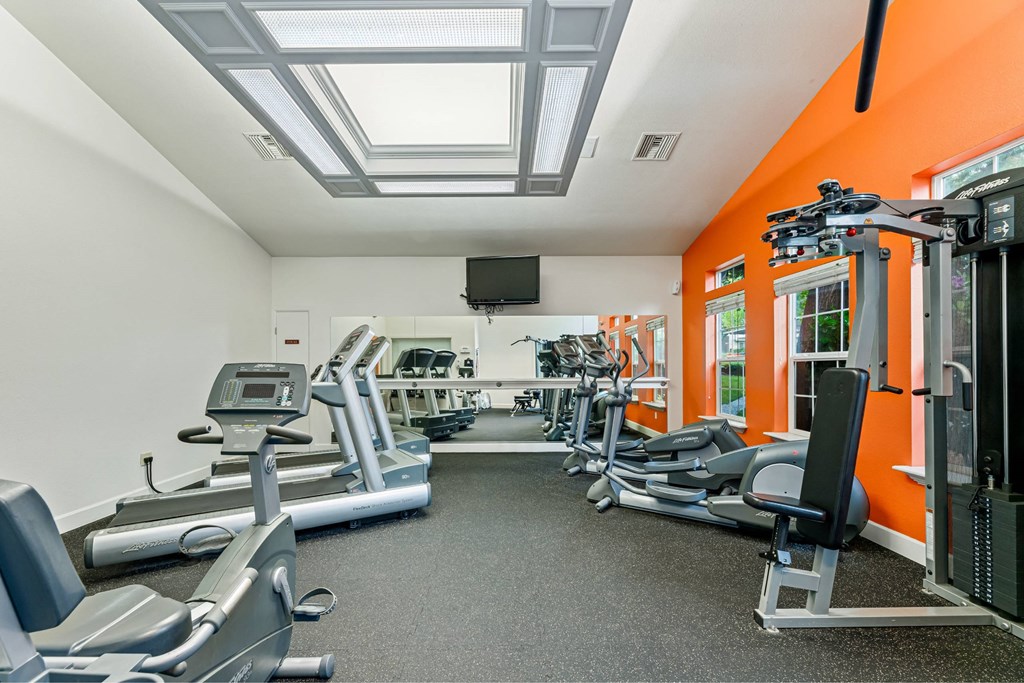 A gym with treadmills, exercise bikes, and other equipment.