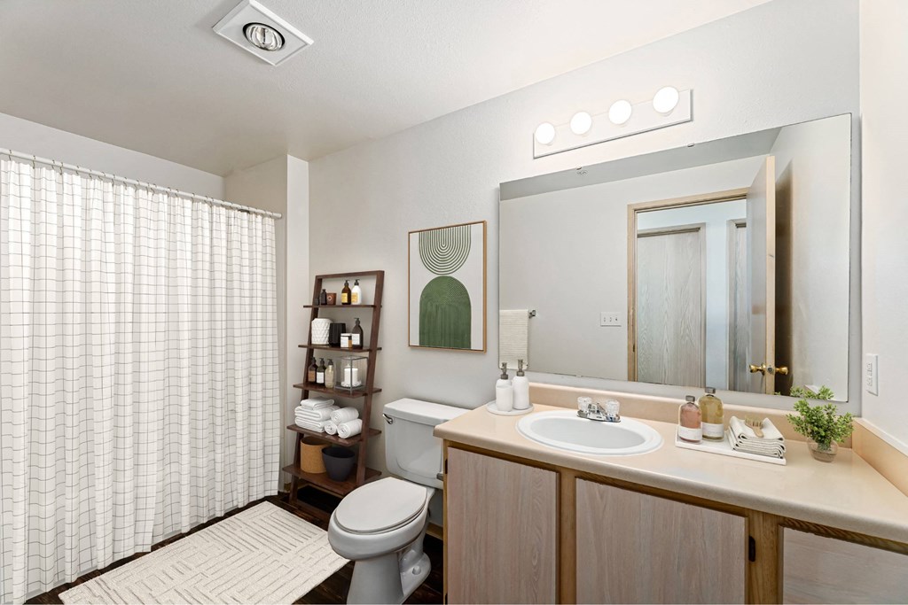 A bathroom with a toilet, sink, and mirror.