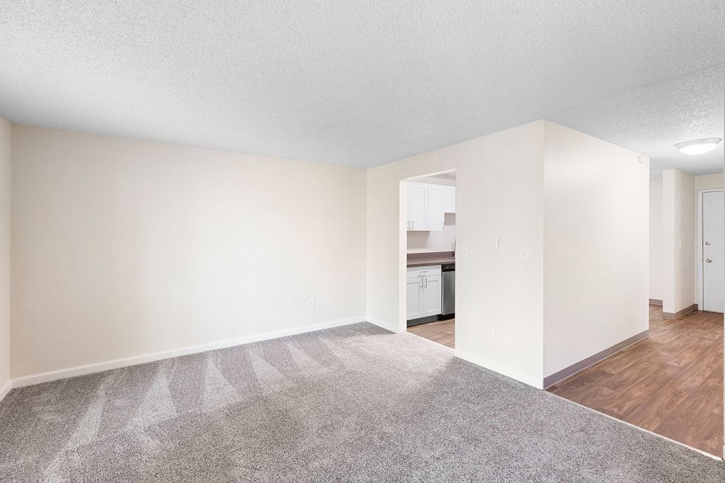 A spacious room with a carpeted floor and a kitchen visible in the background.