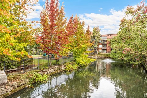 A beautiful autumn scene with a pond and colorful trees.