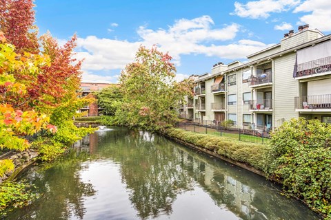 A canal with buildings on the side and trees with red leaves.