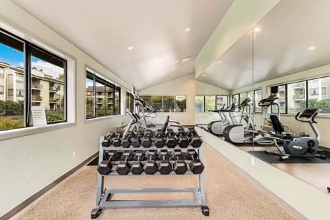 A gym with a variety of equipment including treadmills, stationary bikes, and dumbbells.