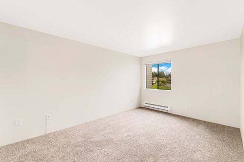 A room with a window and a carpeted floor.