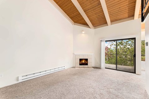 A spacious living room with a fireplace and sliding glass doors.