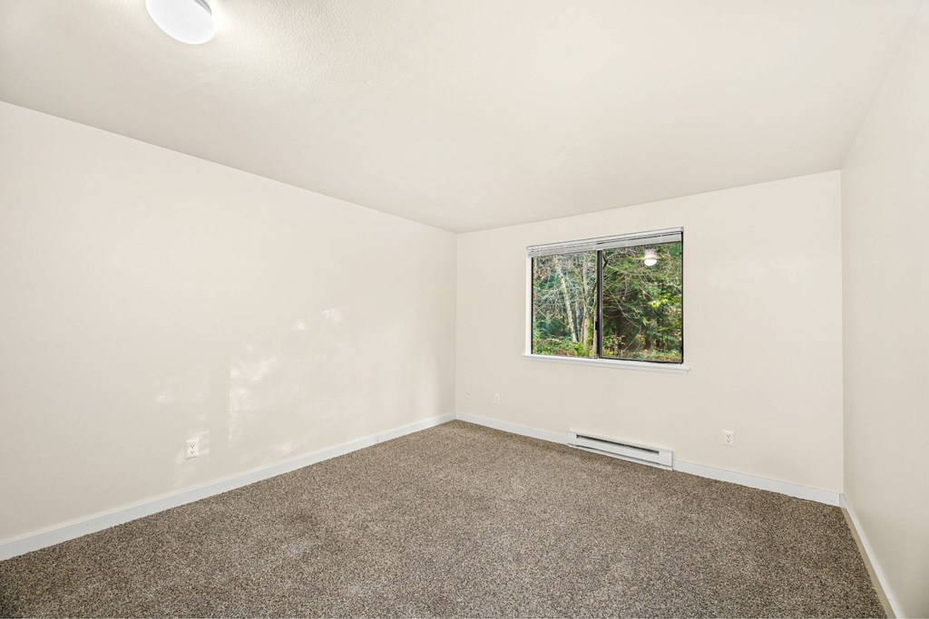 A room with a carpeted floor and a window showing trees outside.
