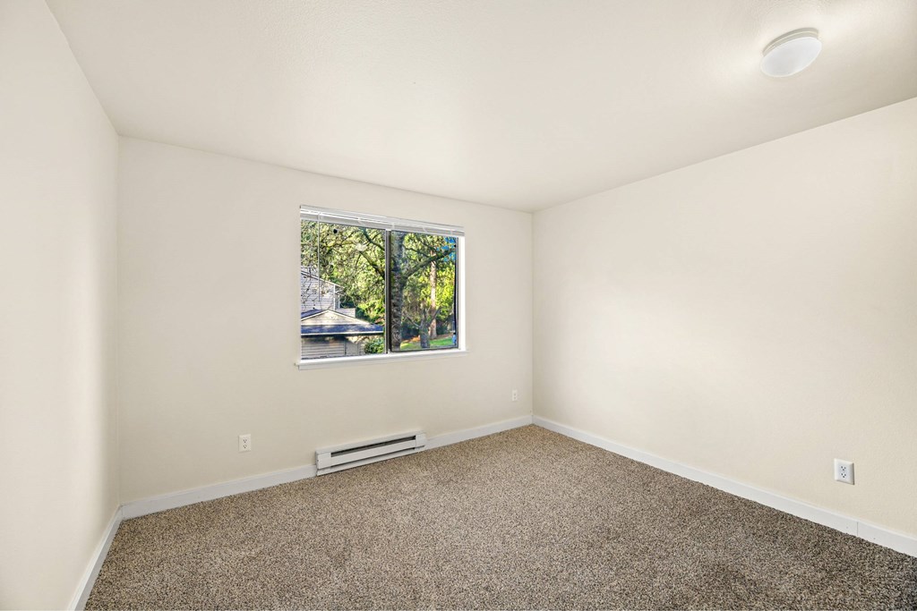 A room with a window and a carpeted floor.