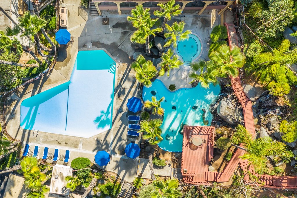 An aerial view of a pool surrounded by trees and a slide.