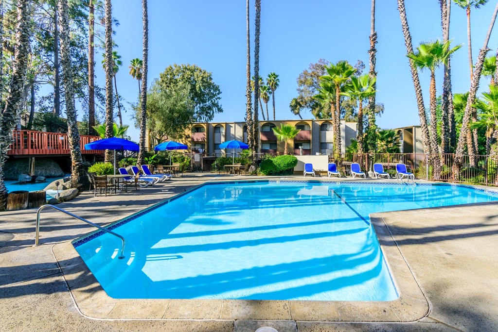 A swimming pool surrounded by palm trees and lounge chairs.