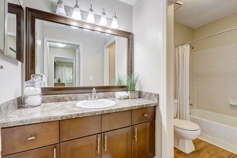 A bathroom with a sink, mirror, and a toilet.