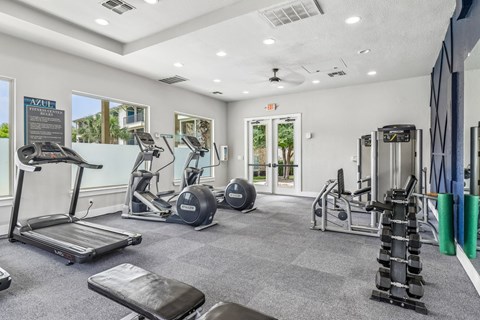 A well-equipped gym with treadmills, weights, and exercise balls.