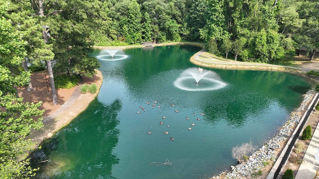 a view of the pond from above