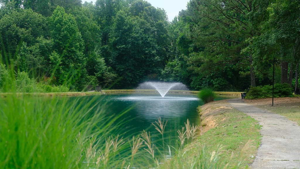 a fountain in the middle of a pond