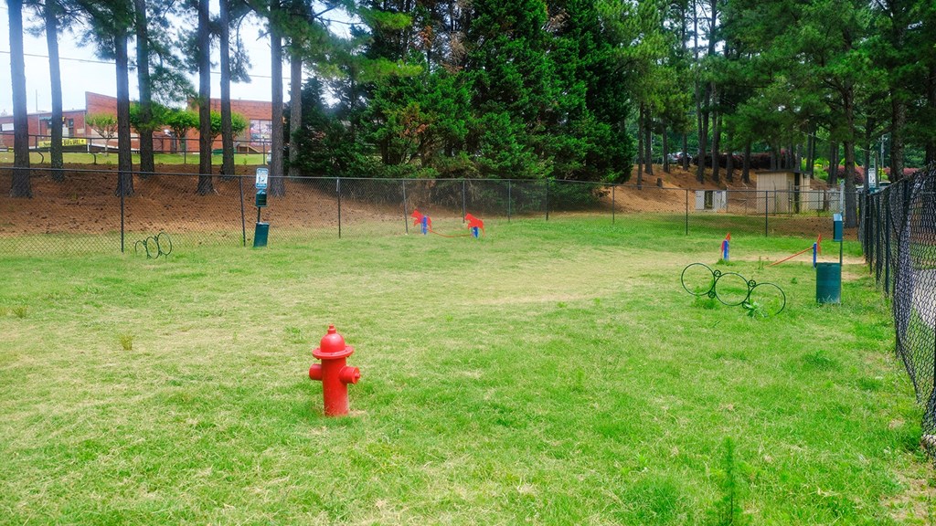 Amberlake Village's fenced dog park with agility training, large green grassy areas, and waste disposal stations