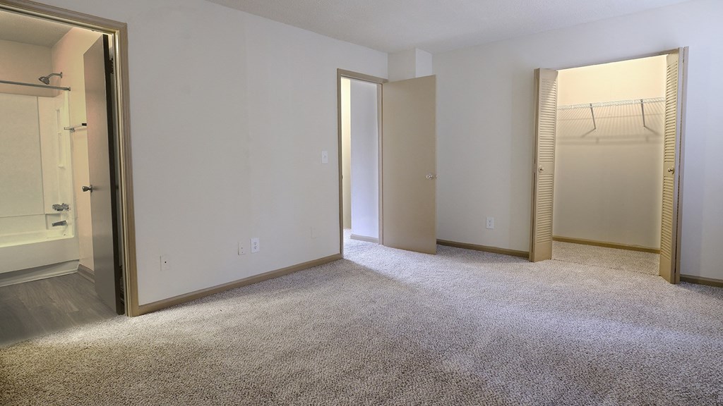 a bedroom with two closets and a carpeted floor