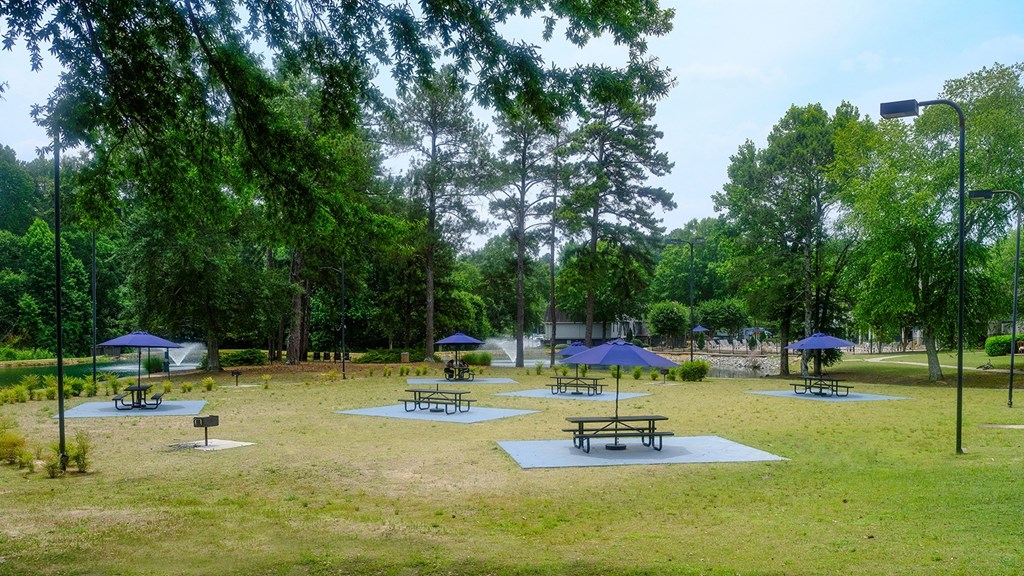 A large grassy area with picnic tables and umbrellas