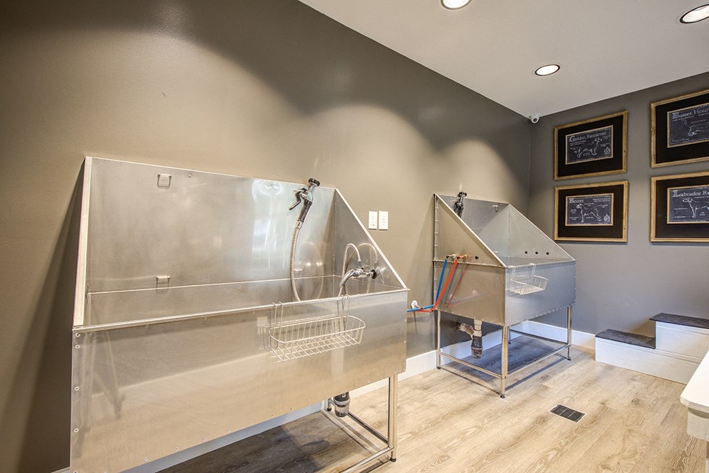 an indoor dog wash station with two stainless steel tubs and a sink at Canopy at Baybrook apartment community Charlotte NC