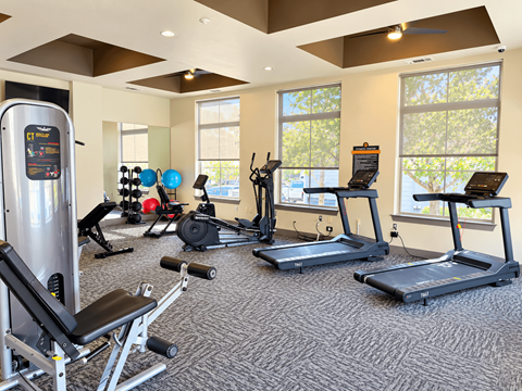 A gym with treadmills, elliptical machines, and other exercise equipment.