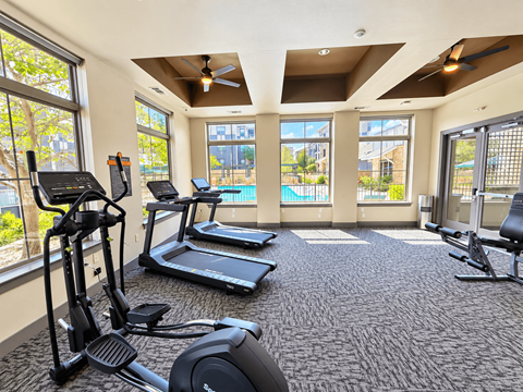 A spacious gym with treadmills, elliptical machines, and a stationary bike.