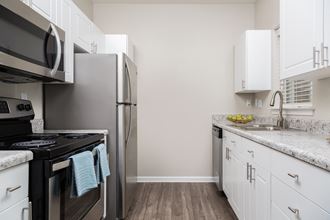Stone Ridge Apartments - Kitchen