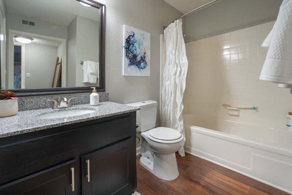 Veridian at Sandy Springs apartments interior bathroom with a sink toilet and bathtub