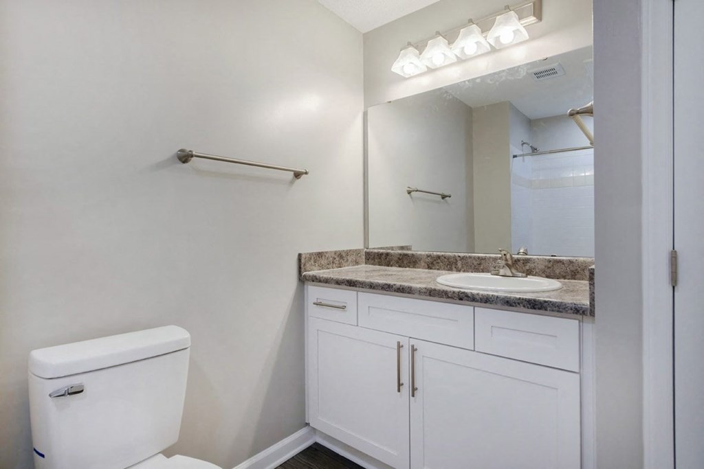 A white toilet sits next to a sink in a bathroom.