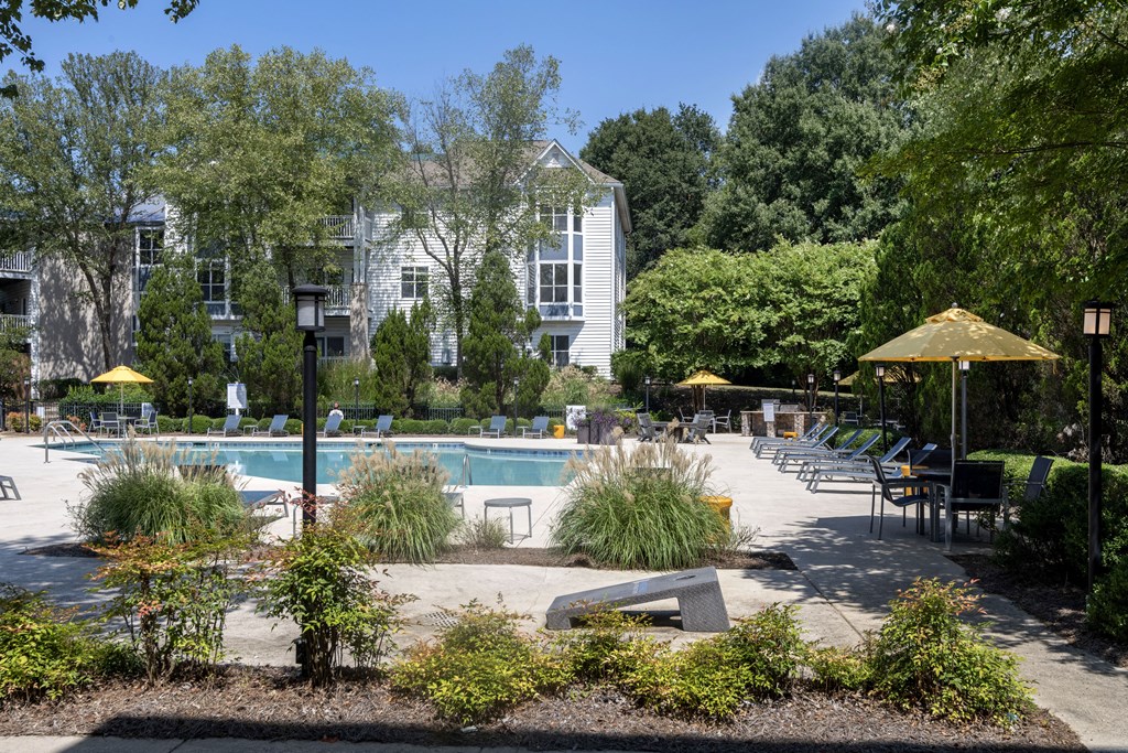 our apartments showcase an unique swimming pool