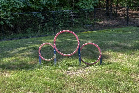 colorful hoops in the grass in a dog park at Wynnwood Vinings
