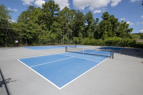 a tennis court on a blue court with trees in the background