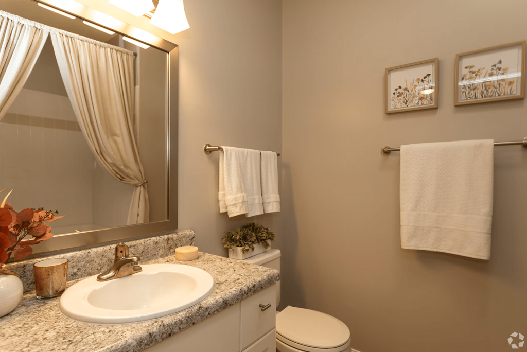 A bathroom with a sink, toilet, and a mirror.