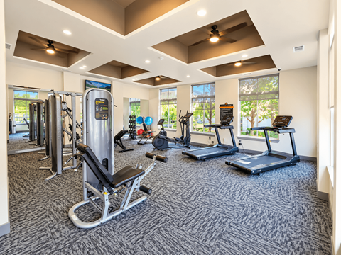 A gym with a variety of equipment including treadmills, a rowing machine, and a weight machine.